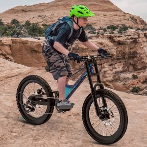 软尾山地自行车变速学生青少年22寸碟刹镁合金自行车轻便