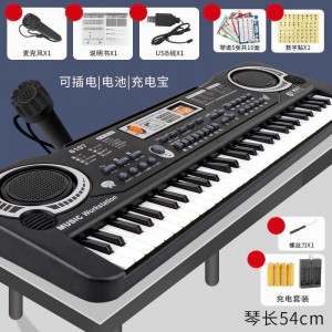 儿童益智电子琴初学者入门61键钢琴宝宝多种功能音乐神器男女孩玩具