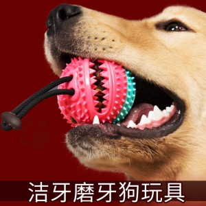 宠物用品 狗狗漏食球铃铛发声洁齿球 磨牙耐咬训犬玩具解闷西瓜球