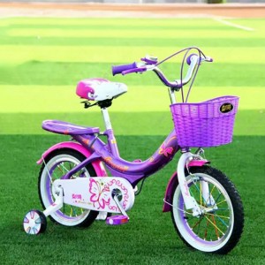 儿童自行车 bike 铝合金轮 带车篮 豪华后座 儿童脚踏自行车
