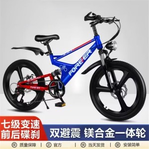 儿童自行车男女孩7-8-9-15岁中大童双减震碟刹变速山地自行车