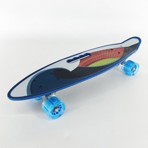 24寸小鱼板 香蕉板手提鱼板 PU闪光轮 四轮塑料滑板 供货厂家