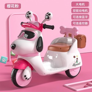 儿童电动三轮车 儿童旅行玩具收纳3-6岁玩具车三色可选三轮车