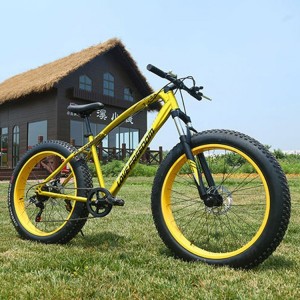 沙滩雪地山地自行车 变速 减震双碟刹自行车20寸26寸