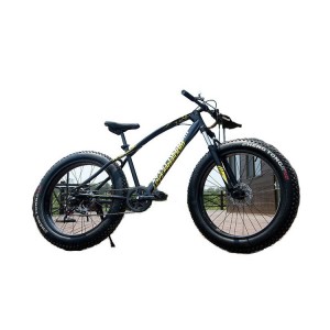 沙滩雪地山地自行车 变速 减震双碟刹自行车20寸26寸