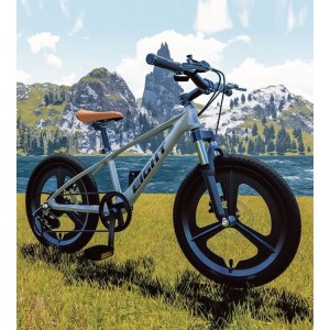 镁合金儿童自行车大童男女孩8-14岁20寸学生脚踏双碟刹变速山地车