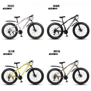 26寸双碟刹宽胎越野变速车自行车成人山地车雪地车沙滩车厂家供应