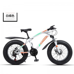 厂家供应20寸双碟刹4.0宽轮胎雪地沙滩车户外男女骑行越野自行车