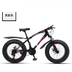 厂家供应20寸双碟刹4.0宽轮胎雪地沙滩车户外男女骑行越野自行车