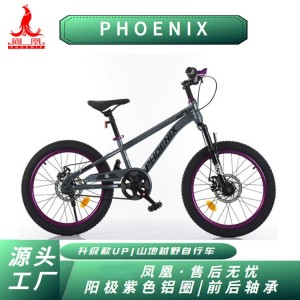 凤凰儿童自行车男孩女孩6-18岁碟刹单速山地脚踏车小学生车山地车