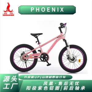 凤凰儿童自行车男孩女孩6-18岁碟刹单速山地脚踏车小学生车山地车