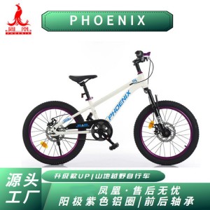 凤凰儿童自行车男孩女孩6-18岁碟刹单速山地脚踏车小学生车山地车