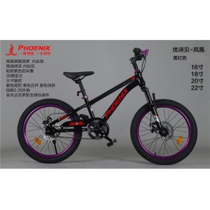 凤凰儿童自行车男孩女孩6-18岁碟刹单速山地脚踏车小学生车山地车