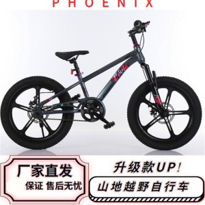 凤凰儿童自行车男孩女孩6-12岁中大童碟刹山地车单速越野安全骑行