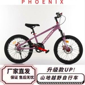 凤凰儿童自行车男孩女孩6-12岁中大童碟刹山地车单速越野安全骑行