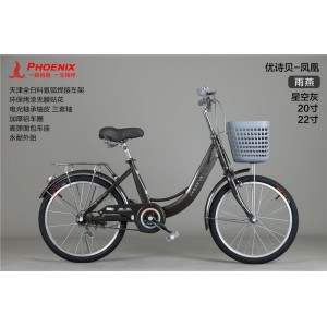 凤凰儿童自行20寸22寸中大童轻便女孩学生公主车通勤脚踏淑女单车