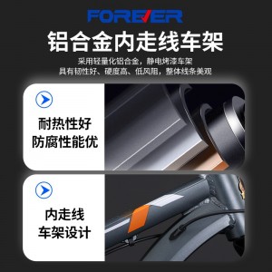 永久牌山地自行车成人26寸变速男士款单车骑行30速高碳钢 bicycle