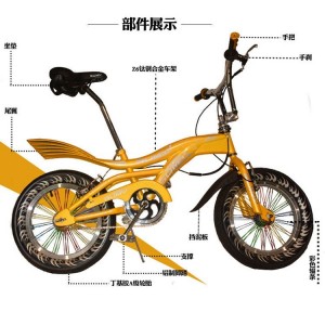 特种表演车24寸豹纹杂技特技自行车海豚辐条轮表演自行车