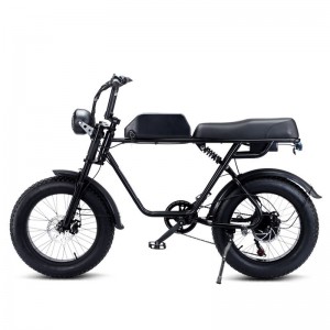 20寸软尾胖胎雪地电动越野助力车山地车锂电自行车