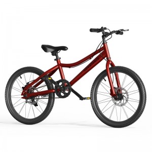 新款儿童自行车男女学生16--20寸单车双碟刹山地车轻便脚踏自行车