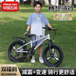 飞鸽儿童自行车6-10-12-15岁碟刹山地男女孩变速减震中学生脚踏车
