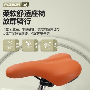 飞鸽儿童自行车6-10-15岁女孩公主车中小学生脚踏车中大童单车