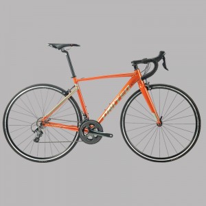 VITESSA 2.00 Ekspresikan kecintaanmu terhadap medan all-round bersama sepeda favoritmu