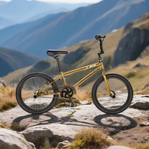 表演自行车24寸20寸表演车男女孩中大童车学生脚踏自行单车