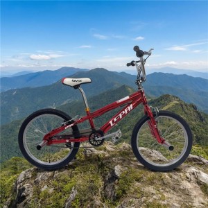 面向儿童/青年和初学者的BMX自行车自由式-高级成人骑手20英寸车轮