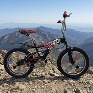 儿童 BMX 自行车，适合 10-12 岁男孩 - 盘式刹车钢架儿童自行车