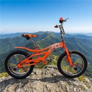 儿童 BMX 自行车，适合 10-12 岁男孩 - 盘式刹车钢架儿童自行车