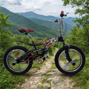 儿童 BMX 自行车，适合 10-12 岁男孩 - 盘式刹车钢架儿童自行车