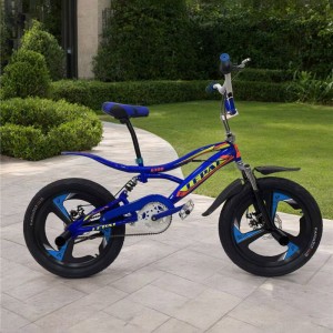 自由式迷你 BMX 自行车 20 英寸单速钢架街头碟刹避震前叉 男女通用