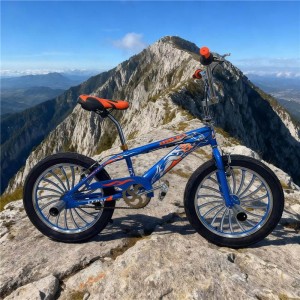 经济实惠的20英寸 BMX 钢制自行车 自由式杂技自行车 单速成人性能自行车
