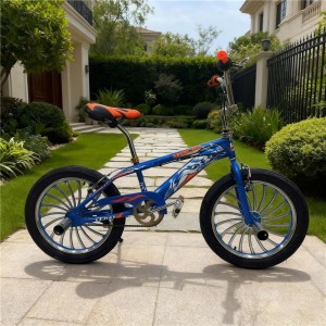 经济实惠的20英寸 BMX 钢制自行车 自由式杂技自行车 单速成人性能自行车