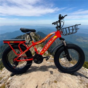 工厂山地车Mtb男士自行车钢山地车20英寸下坡胖轮胎成人山地车