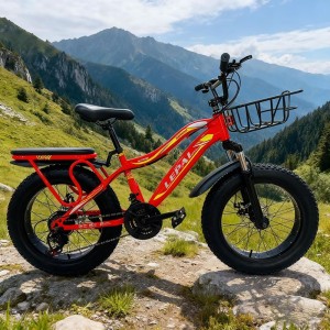 工厂山地车Mtb男士自行车钢山地车20英寸下坡胖轮胎成人山地车