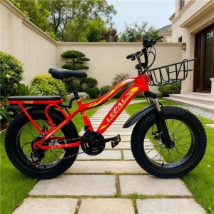 工厂山地车Mtb男士自行车钢山地车20英寸下坡胖轮胎成人山地车